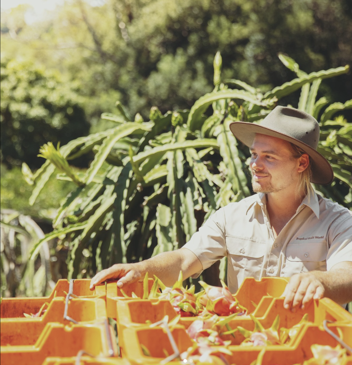 Tropical Fruit World in Byron Bay 2